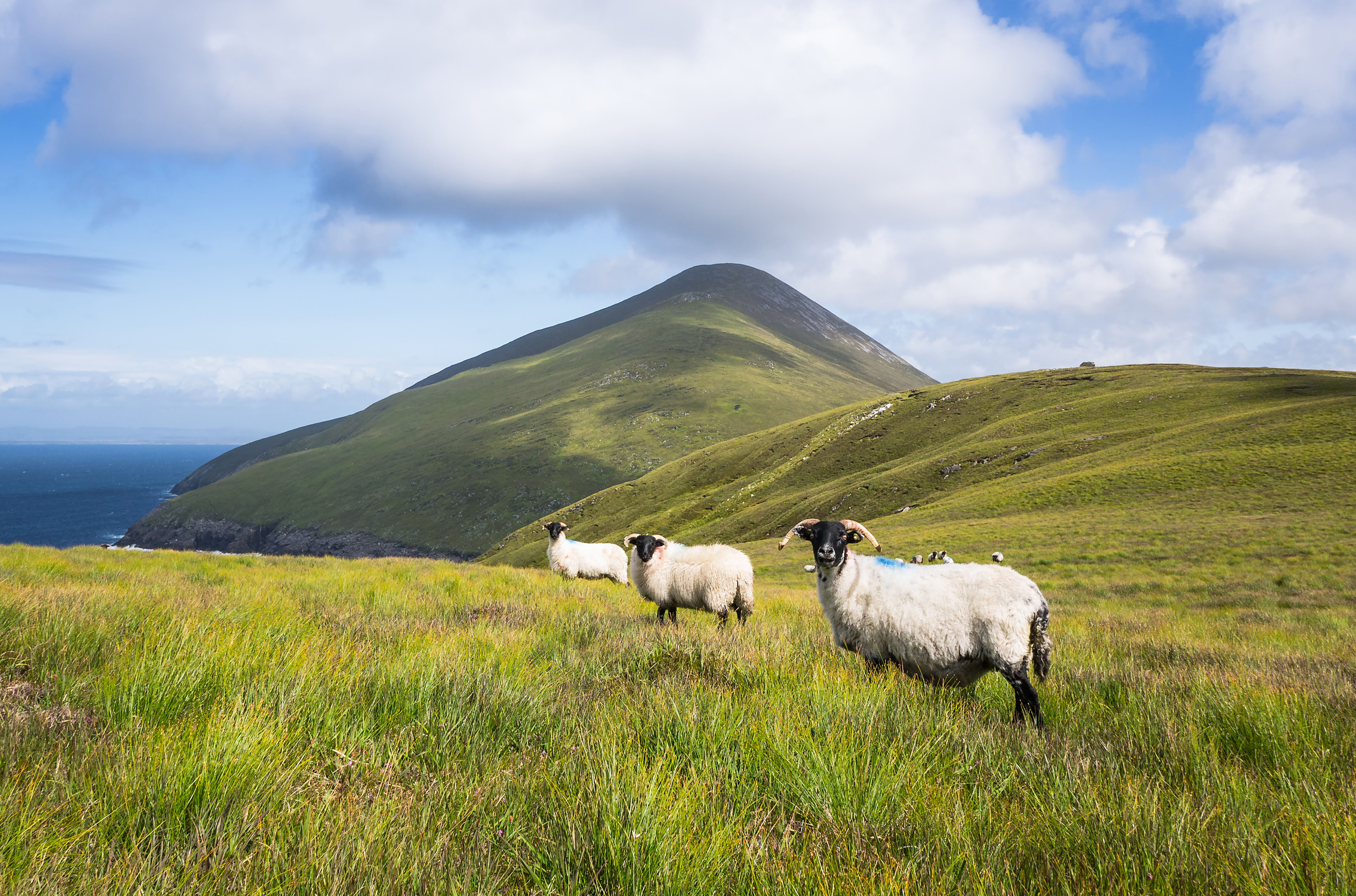 Irlande 6