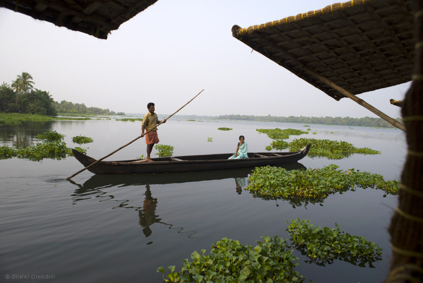 Pêcheur en Inde du Sud