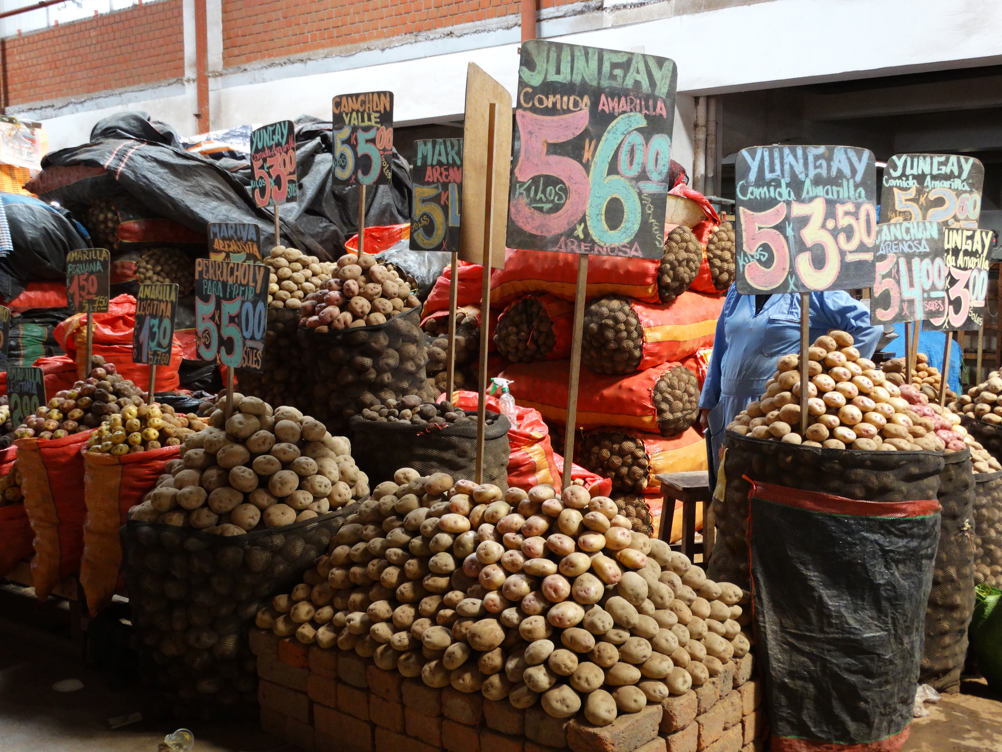 pommes de terre Pérou