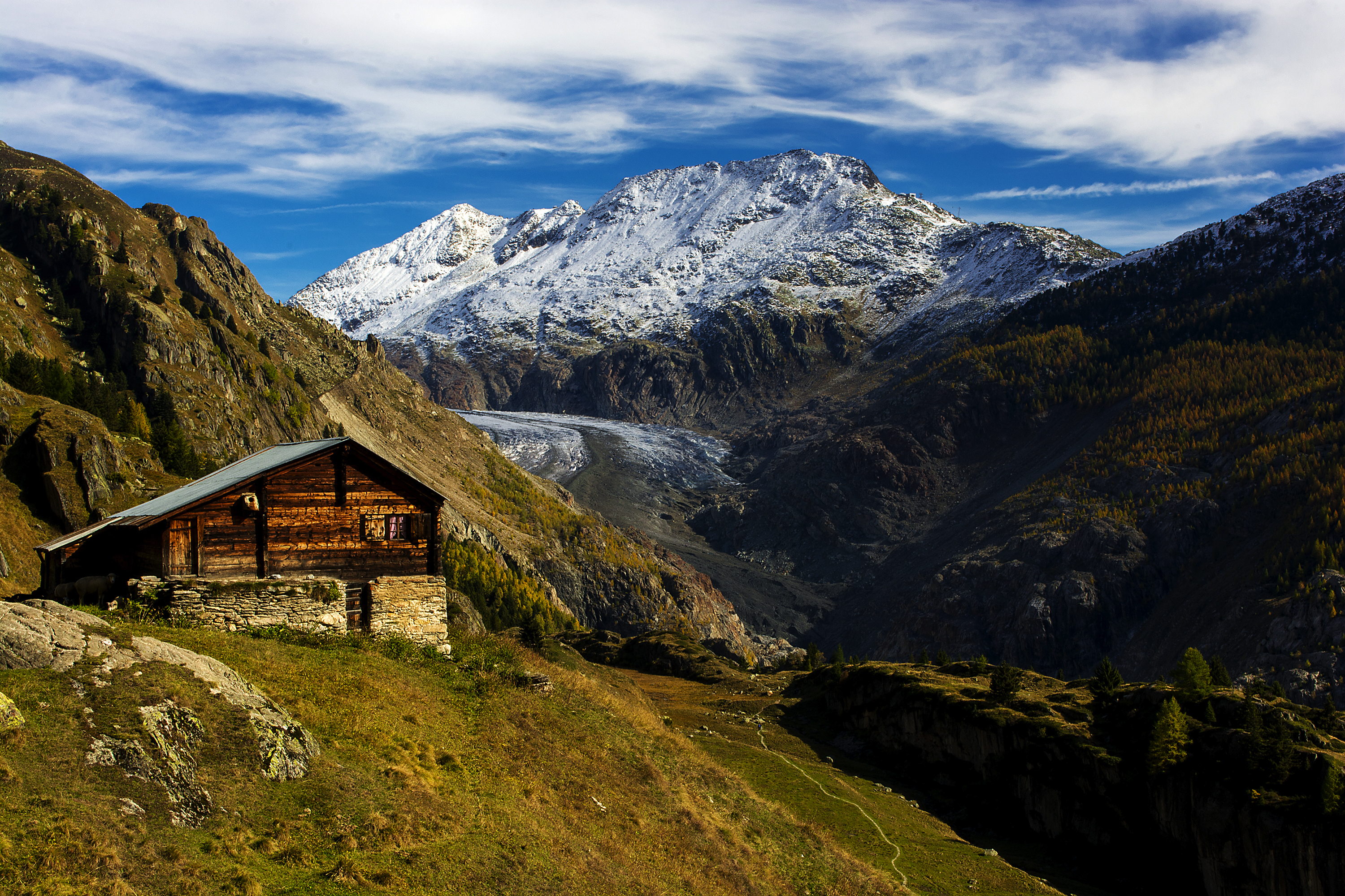 Suisse Aletsch