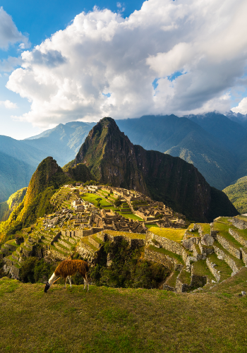 Machu Picchu 350*500