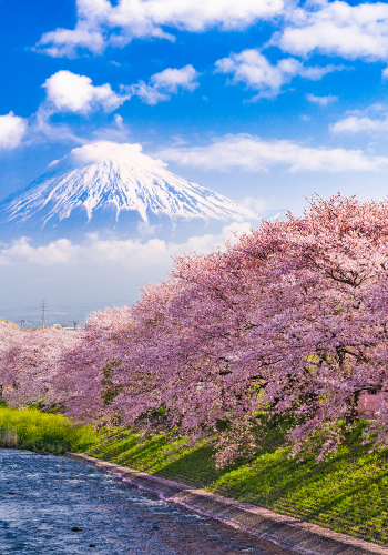 Mont Fuji 350*500