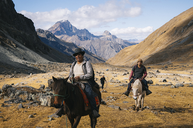 Pérou - Muletiers