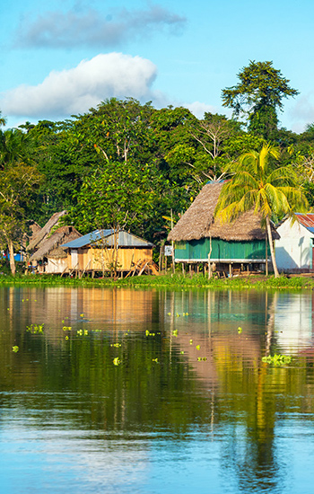 Ellas - Pérou amazonie