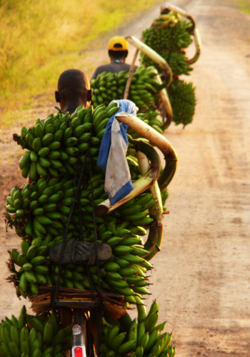 banane