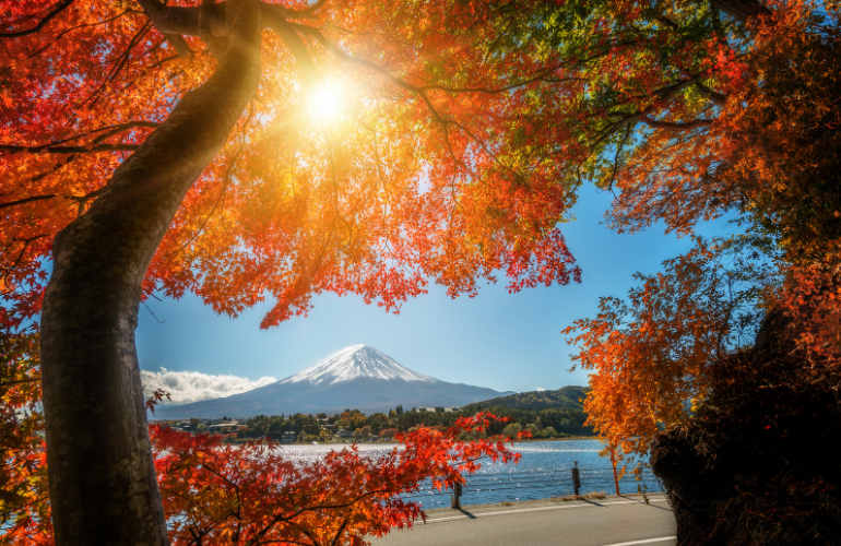 Mont Fuji Automne