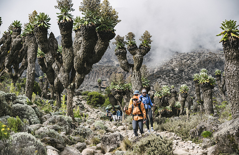 Randonneurs sur l'ascension du Kilimandjaro, Tanzanie