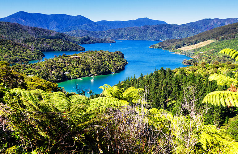 Queen Charlotte Track, Marlborough sounds, Nouvelle-Zelande