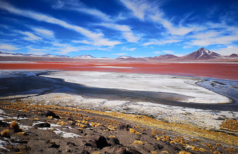 La Laguna colorada et sa couleur rouge, Bolivie