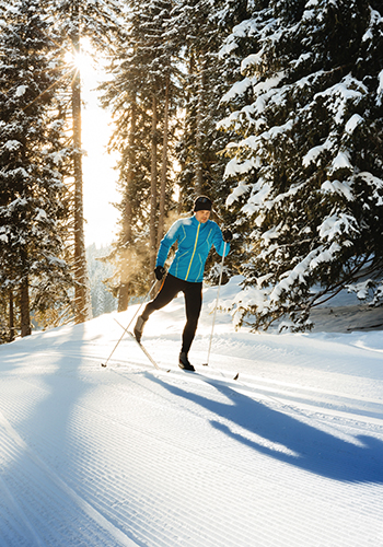Homme faisant du ski de fond dans la forêt, France