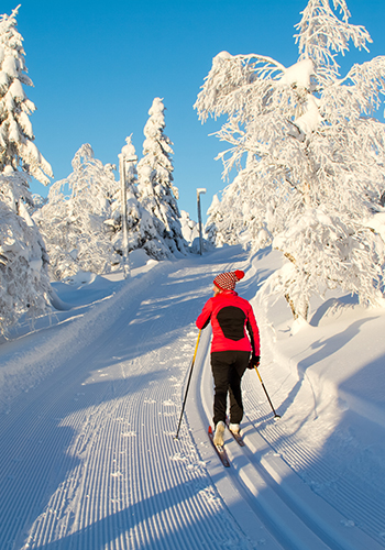 Femme faisant du ski de fond (alternatif), France