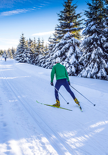 Ski de fond (skating) dans un paysage hivernal, France