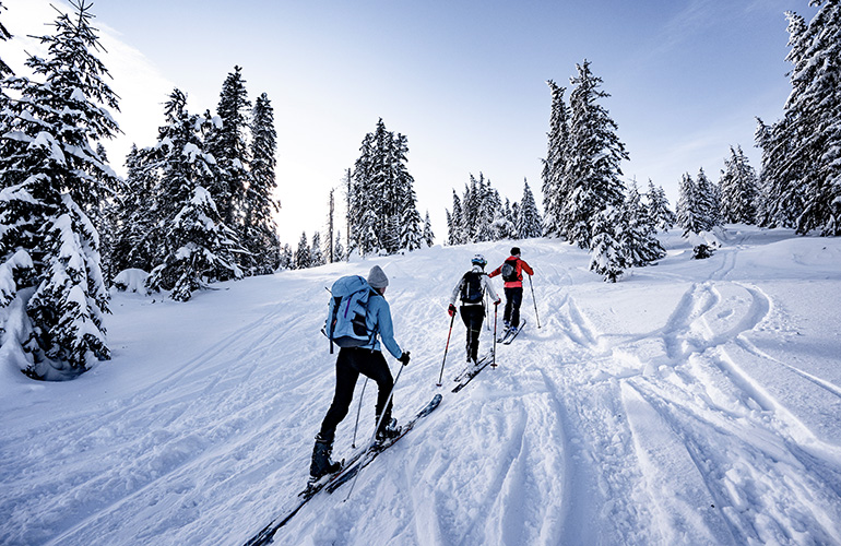 Ski de randonnée dans un paysage alpin avec des arbres enneigés, France