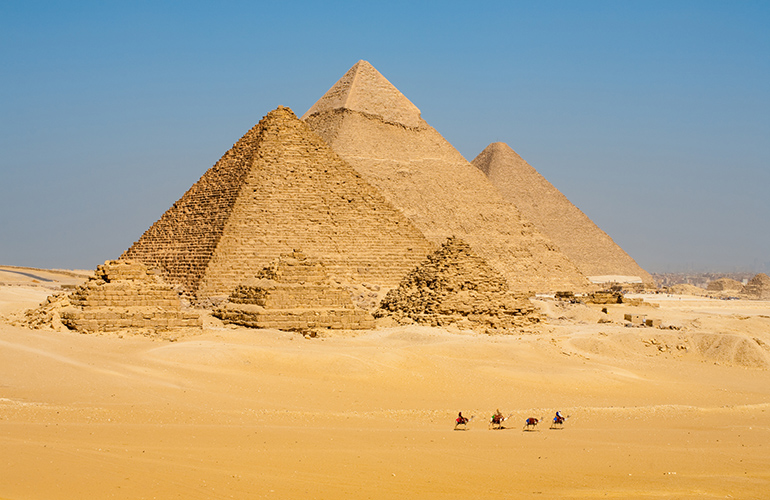 Chameaux devant les pyramides de Giseh
