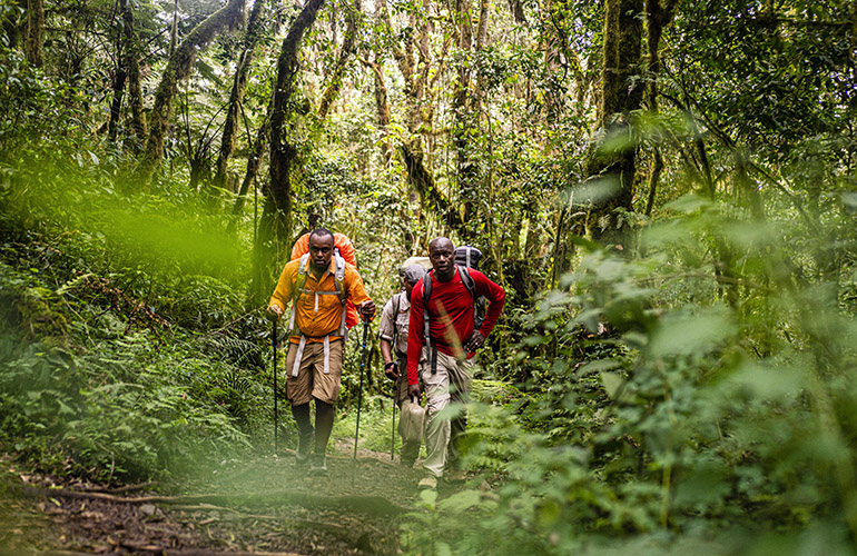 Porteurs dans la savane sur le chemin du kilimanjaro - Tanzanie