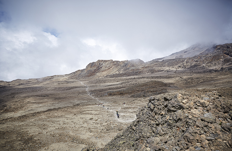 Kilimandjaro, à environ Barafu - Tanzanie