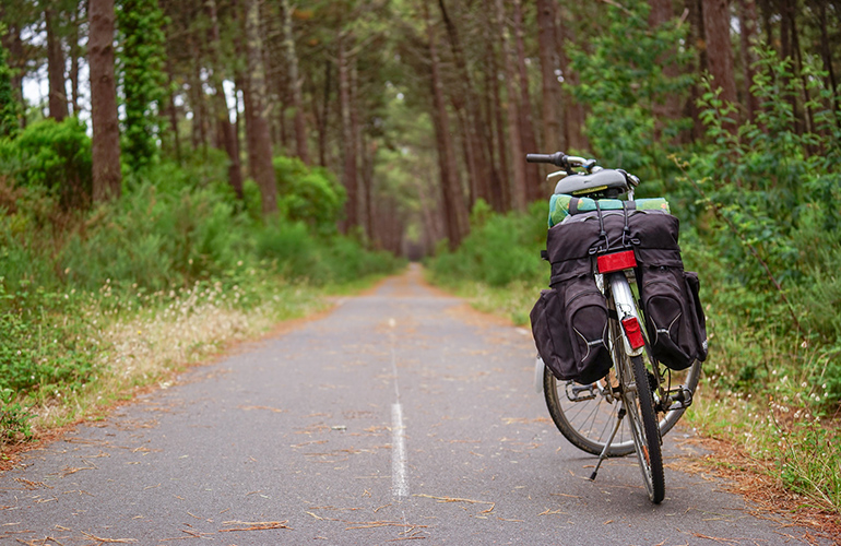 Piste cyclable dans les Landes, vélo, France