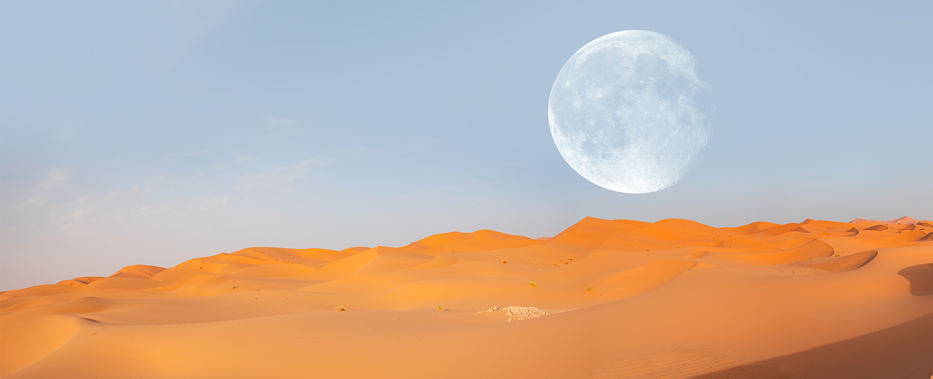 Les dunes du Sahara marocain sur fond de pleine lune, Maroc