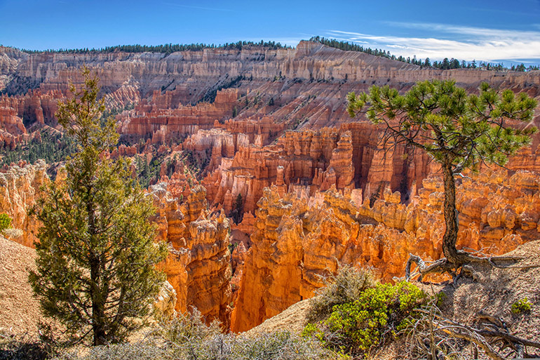Bryce Canyon USA