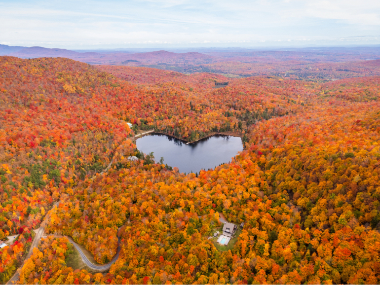 AdobeStock_970931241-ok