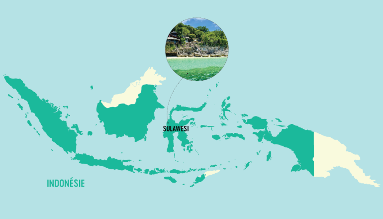 Carte d'Indonésie - Sulawesi