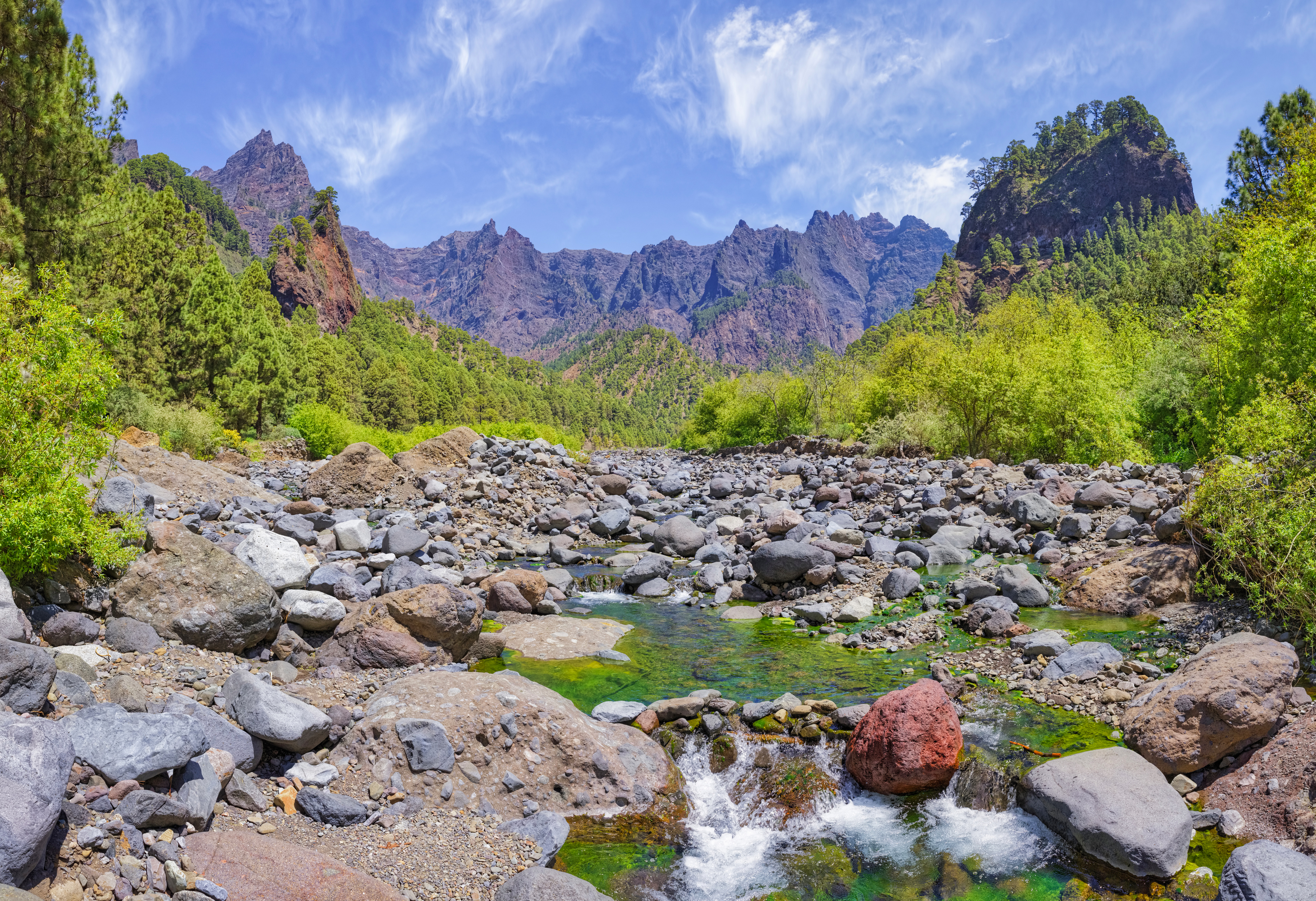 la palma