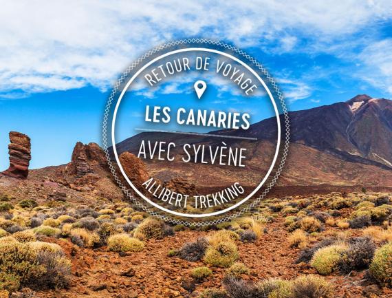 Alternative en cours de publication
