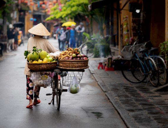 Vietnam image principale