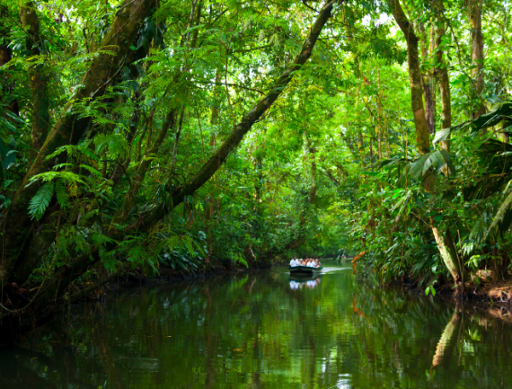 Parc Tortuguero, Costa Rica.