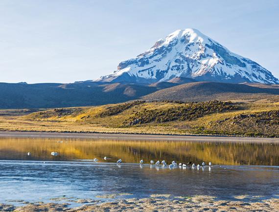 Volcan Sajama et lac Huaynacota dans les Andes, Bolivie.