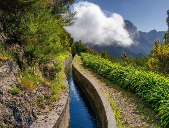 Levada - Madere