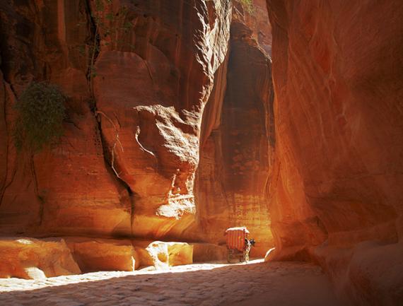 Siq Pétra - Jordanie