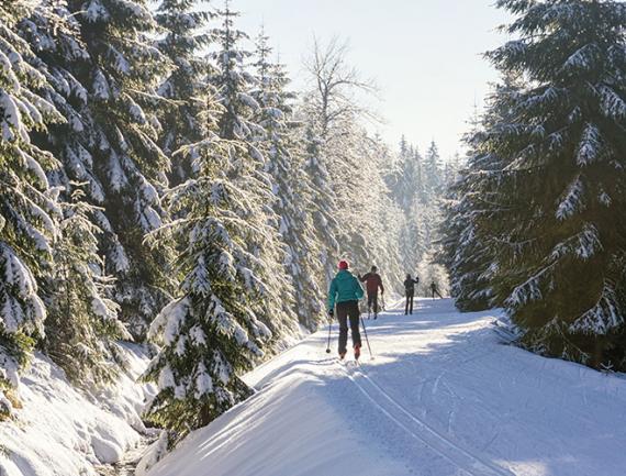 Ski de fond en groupe, France