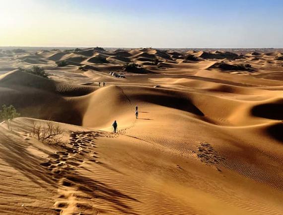 Randonnée dans les dunes, vallée du Drâa, Maroc.