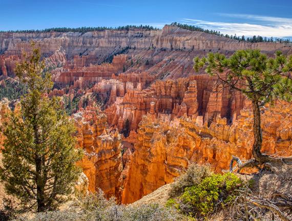 Parc de Bryce canyon, USA.