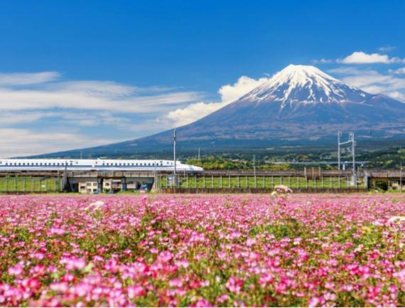 shinkansen japon train fuji