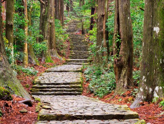 Sentier ancien de Kumano Kodo à Nachi, Wakayama, Japon