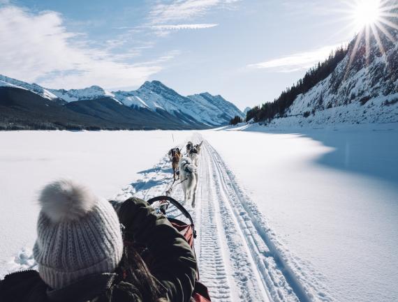 Ballade dans un traîneau à chiens sur un lac gelé, Rocheuses, Canada