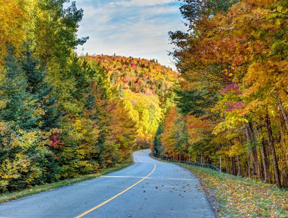 Road trip au travers du parc national de la Mauricie au canada.