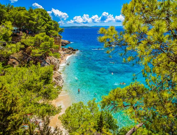 Plage de sable et mer turquoise entouré de pins, Hvar, Croatie