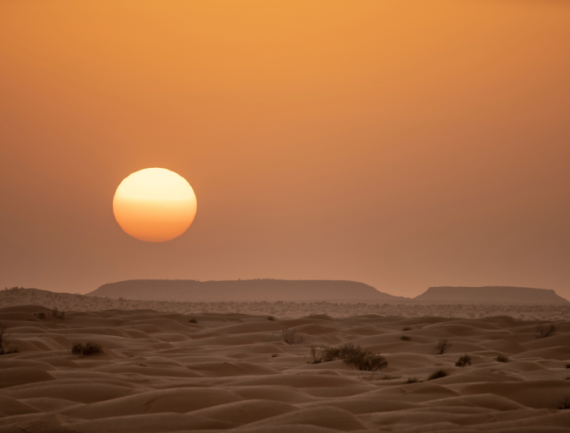 Sahara tunisien, Tunisie