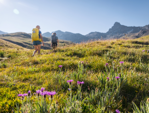 Randonneuses au milieu des alpages fleuris du Queyras, Alpes, France