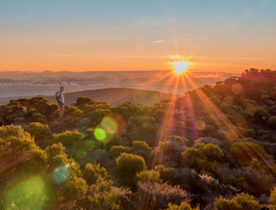 Trailer au coucher du soleil, La réunion