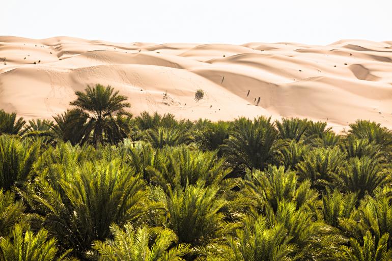 © Copyright en cours de publication Oman 1