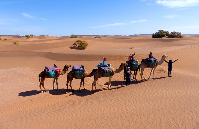 © Allibert Trekking Randonneurs et chameaux dans les dunes de l'erg Essahel, Maroc