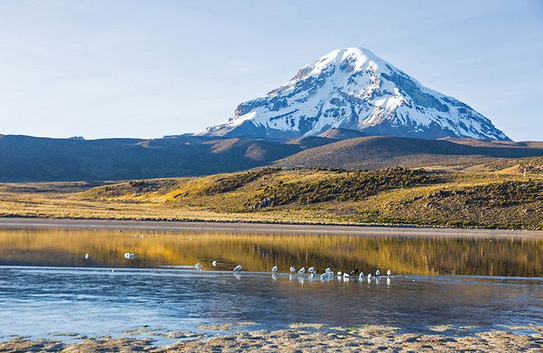 © Toniflap - Adobe Stock Volcan Sajama et lac Huaynacota dans les Andes, Bolivie.