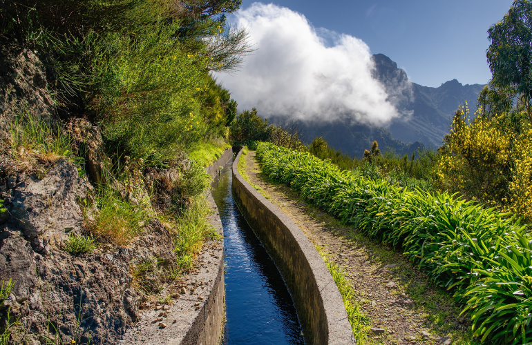 © Martin - Adobe stock Levada - Madere