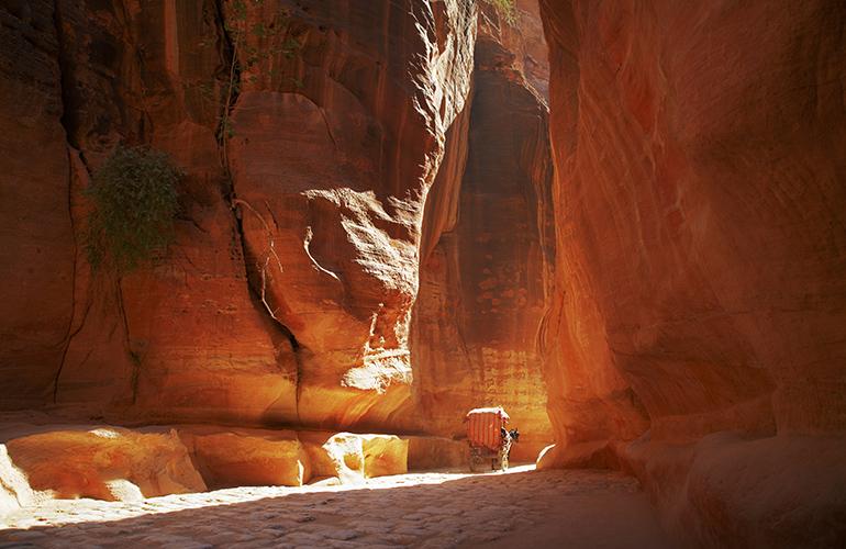 Siq Pétra - Jordanie