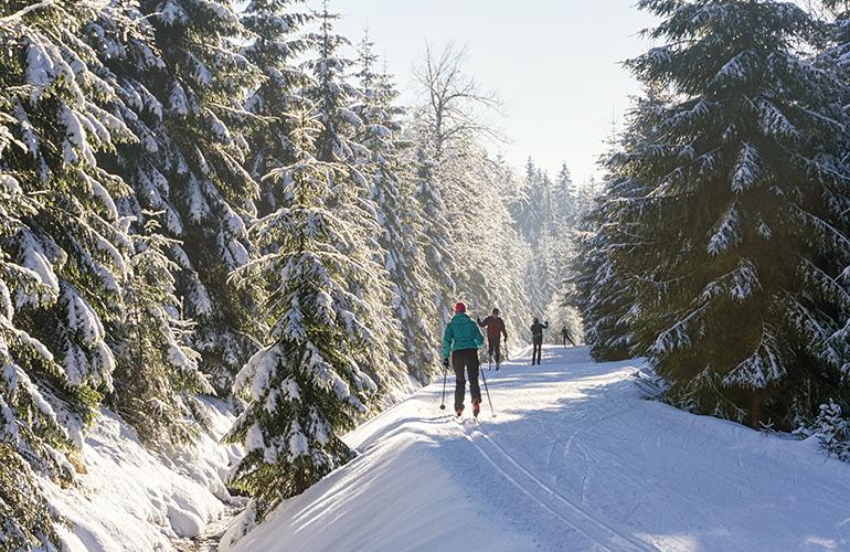 © msnobody - Adobe stock Ski de fond en groupe, France