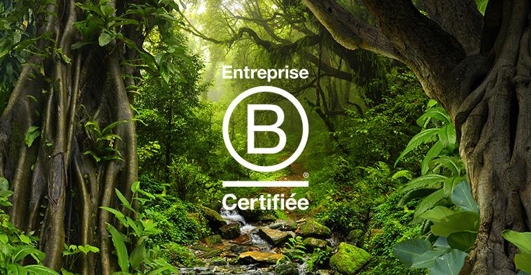 © quickshooting - Istock Logo de la certification B Corp sur fond de jungle colombienne